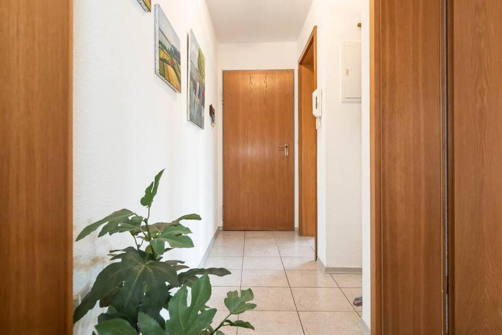 Hilzingen Ferienwohnung Julija Riedheim מראה חיצוני תמונה