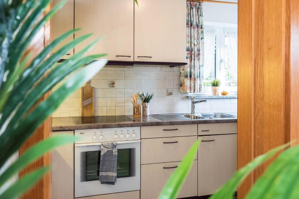 Hilzingen Ferienwohnung Julija Riedheim מראה חיצוני תמונה